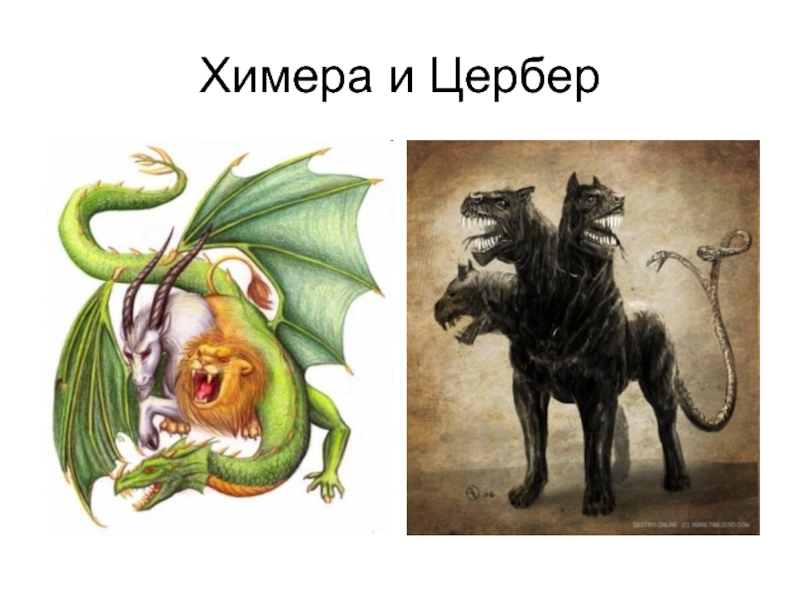 Доклад химера