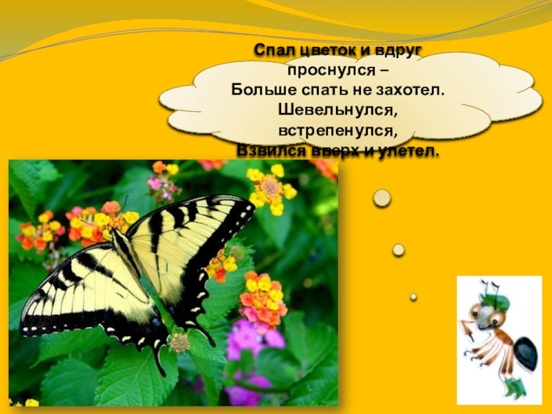 почему нельзя рвать цветы и ловить бабочек. физминутка спал цветок и вдруг проснулся больше. спал цветок и вдруг проснулся больше спать не захотел. вдруг очнуться. проснулся среди ночи цитата.