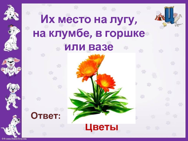 Где цветы. Это цветы отвечаю. Цветок на какой вопрос отвечает. Цветок отвечает на вопрос. Цветы для ответов для презентации.