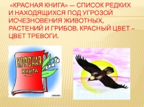 Презентация по биологии на тему Птицы, занесенные в Красную книгу Ютазинского района