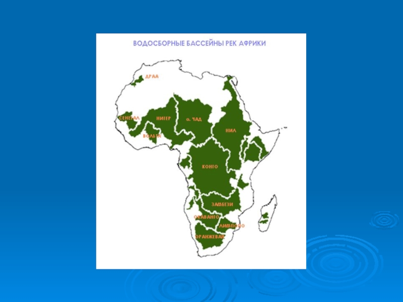 Каким бассейнам относятся реки африки