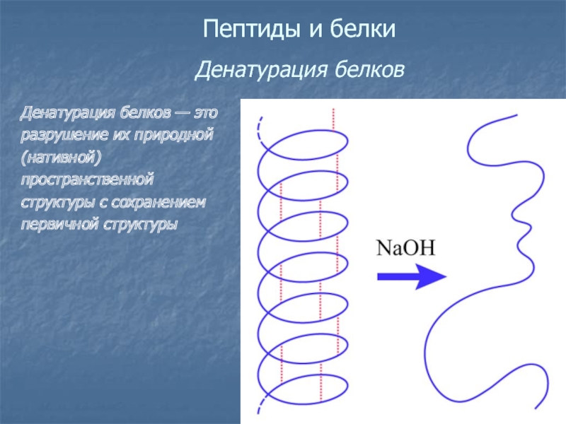 Проект на тему денатурация белка