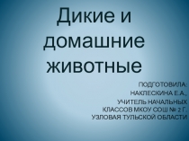 ПРЕЗЕНТАЦИЯ ПО ОКРУЖАЮЩЕМУ МИРУ ДИКИЕ И ДОМАШНИЕ ЖИВОТНЫЕ ( 2 КЛАСС, ШКОЛА РОССИИ)