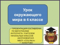 Презентация по окружающему миру на тему Полезные ископаемые Кемеровской области (4класс)