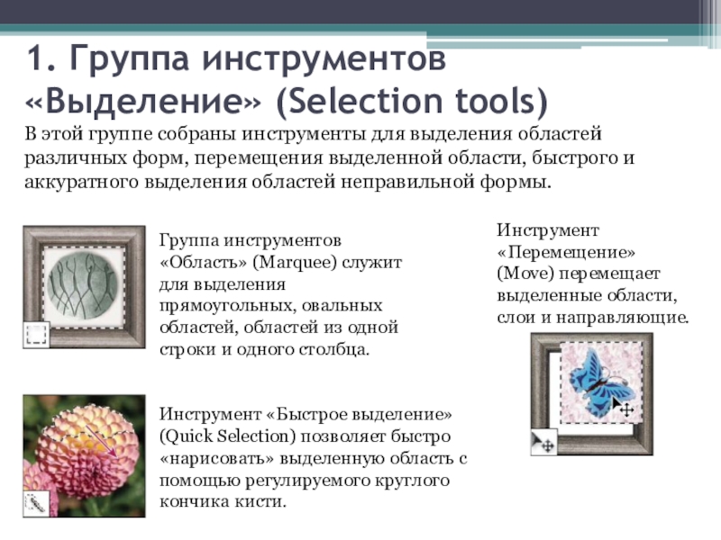 Перечислите инструменты для выделения области изображения