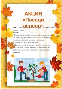 Презентация Акция Посади дерево ( фотоотчет)