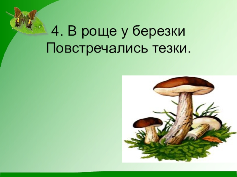 Грибы читай. Недосмотренные грибы пришвин. Роще Березки повстречались тезки. В роще Березки повстречались тезки подберезовик. Березки повстречались тезки.