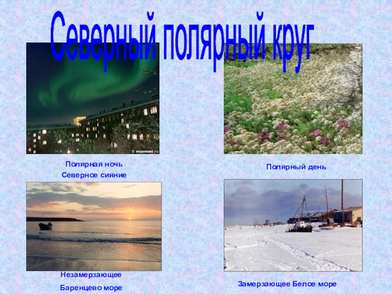Доклад от южных морей до полярного края. Незамерзающее море в России на севере. Незамерзающие моря.