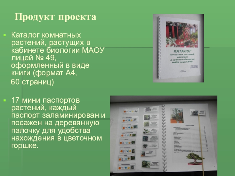 Текст рекламы книги