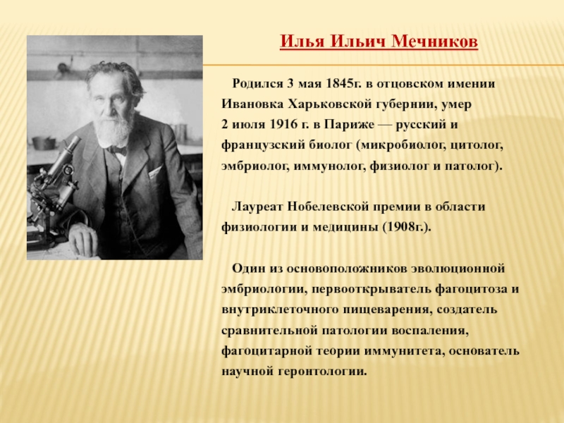 Что создал мечников в биологии. Мечников и.и. (1845-1916). Достижения Ильи Мечникова.