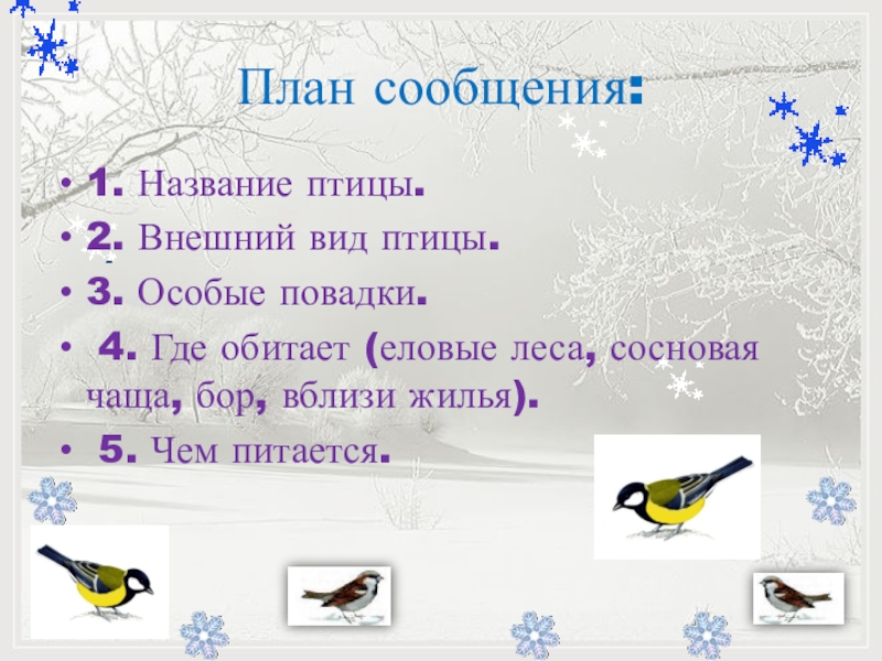 1 класс как зимой помочь птицам презентация 1 класс школа россии