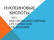 Презентация по биологии на тему Нуклеиновые кислоты (9 класс)