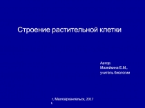 Презентация Строение растительной клетки