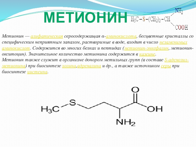 Метионин какая аминокислота. Метионин функции аминокислоты. Метионин формула пептид. Метионин формула химическая. Метионин энкефалин.