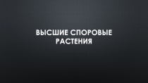 Презентация Высшие споровые растения