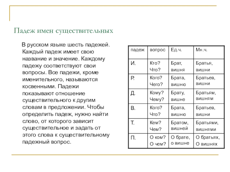 Число имен существительных 5 класс презентация