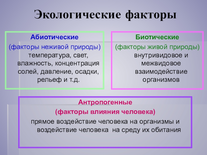 Факторы неживой природы температура