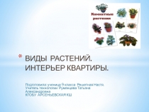 Презентация по технологии на тему Виды растений. Интерьер квартиры (9 класс)