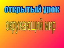 Презентация по окружающему миру Тундра 4 класс