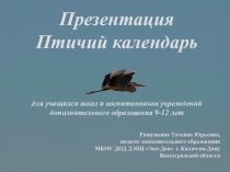 Презентация По страницам птичьего календаря