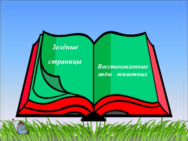 Красная книга картинки для проекта