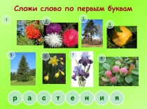 Презентация к уроку природоведения в 5 классе на тему Комнатные растения