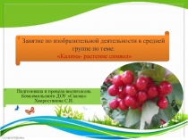 Презентация по аппликации и рисованию по теме: Калина-символ красоты