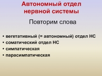 Презентация по биологии на тему Нейрогуморальная регуляция (8 класс)