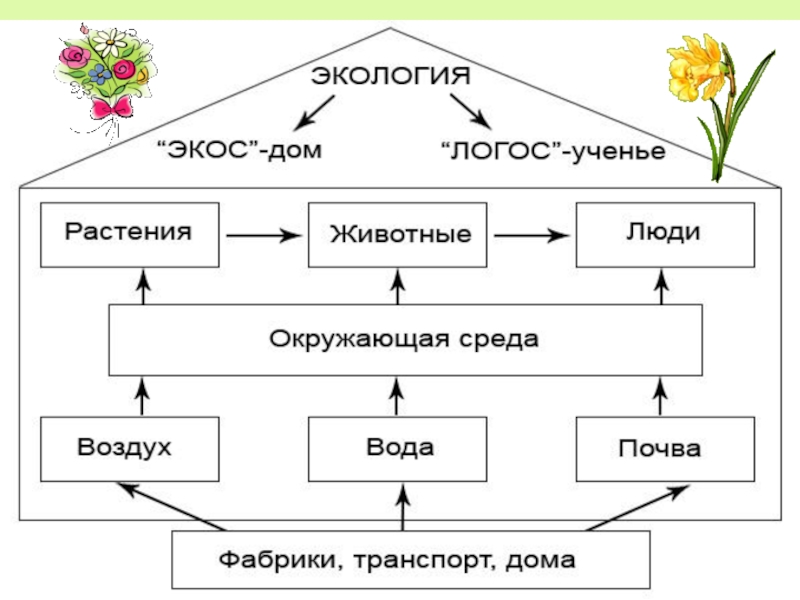 Экология презентация 2 класс