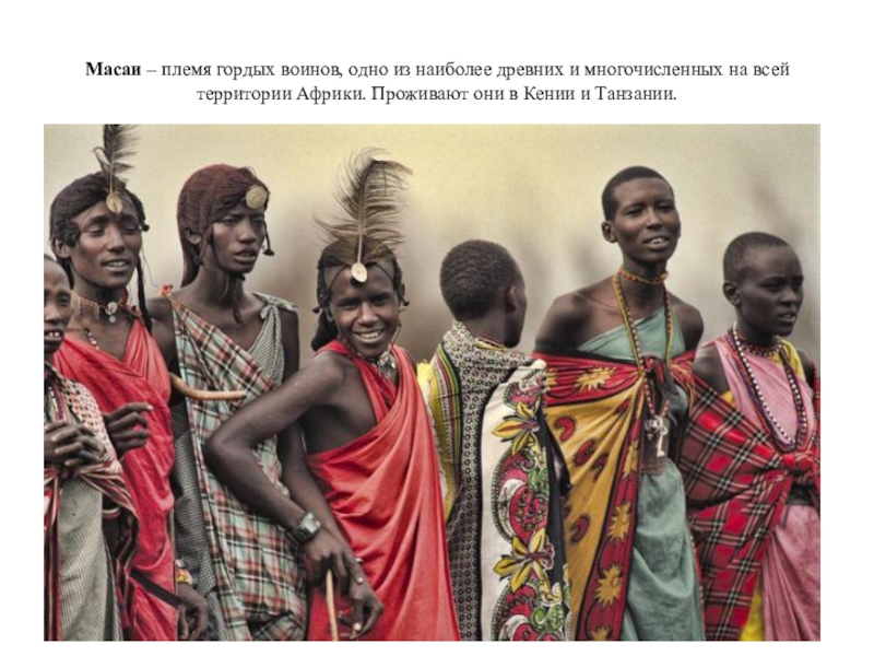 Масаи – племя гордых воинов, одно из наиболее древних и многочисленных на всей территории Африки. Проживают они