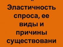 Презентация по экономике на тему Эластичность спроса, ее виды и причины существования