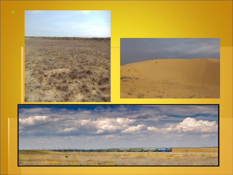 Климатические особенности природной зоны пустыни