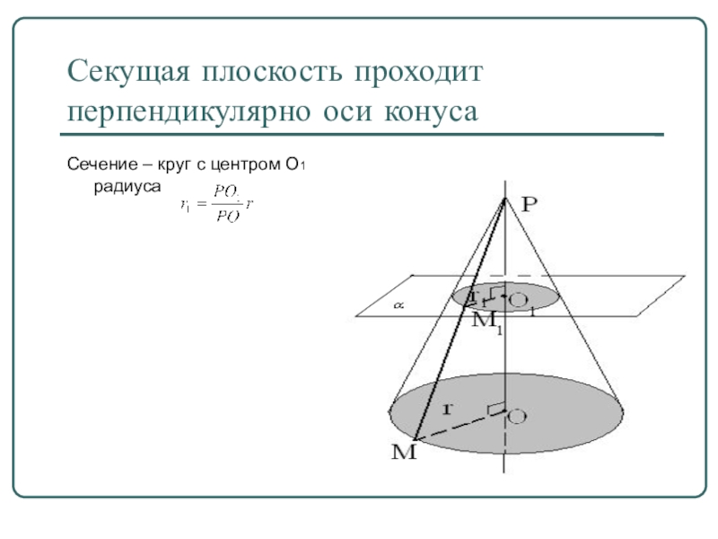 Секущая плоскость. Секущая плоскость перпендикулярна оси конуса. Перпендикулярное оси конуса. Сечение конуса перпендикулярно оси.