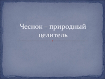 Презентация по окружающему миру Чеснок - природный целитель