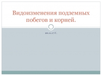 Видоизменения подземных побегов и корней