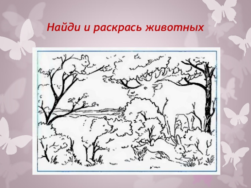 Найди животных 1 класс. Найди и раскрась животных. Найди и закрась зверя. Найди животных на картинке и раскрась. Найди зверей.