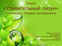 Исследовательская работа. Проект Удивительный лизун.