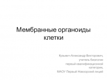 Презентация к уроку биологии Мембранные органоиды клетки