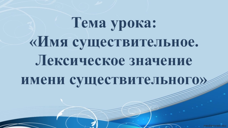 Реферат: Понятие имени существительного в русском языке