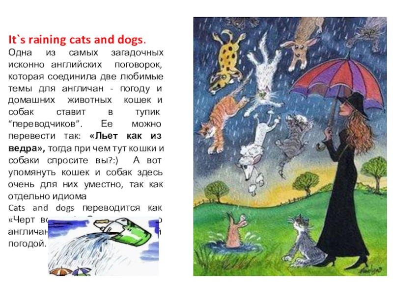 Переведи cat dog. Идиома it's raining Cats and Dogs. It Rains Cats and Dogs происхождение. It's raining Cats and Dogs перевод. It Rains Cats and Dogs перевод.