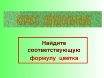 Презентация по биологии Строение цветка (6 клас)