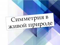 Презентация по русскому языку на тему Симметрия (11 класс)