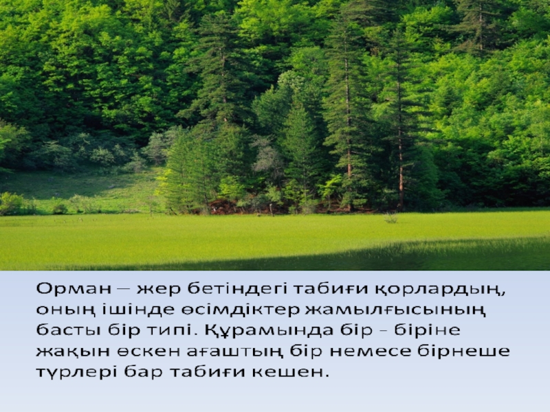 Өсімдіктердің қолайсыз жағдайларға төзімділігі презентация