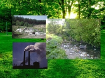 Презентация по английскому языку на тему Save the environment (7 класс )