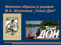 Презентация к уроку литературы в 11 классе по теме Женские образы в романе М.А. Шолохова Тихий Дон