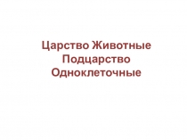 Презентация по подготовке к огэ.