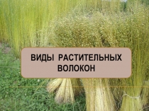 Презентация по Технологии на тему Виды растительных волокон (5 класс)