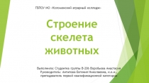 Презентация зачетный проект по анатомии и физиологии животных на тему Строение скелета животных