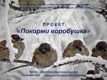 Презентация по окружающему миру Покорми воробушка