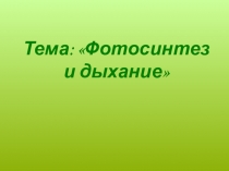 Презентация по биологии  Фотосинтез и дыхание